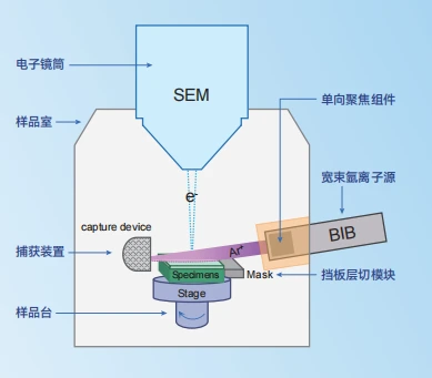 扫描电子显微镜